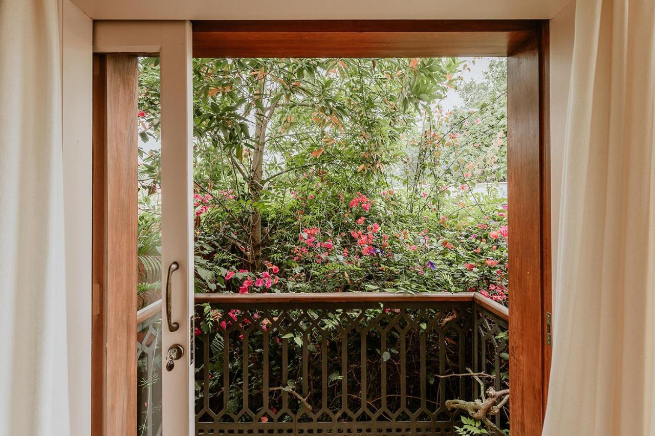 Homeforguest Rural House With Garden El Laurel Tacoronte Exterior foto